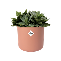 b.for soft round 14cm delicate pink